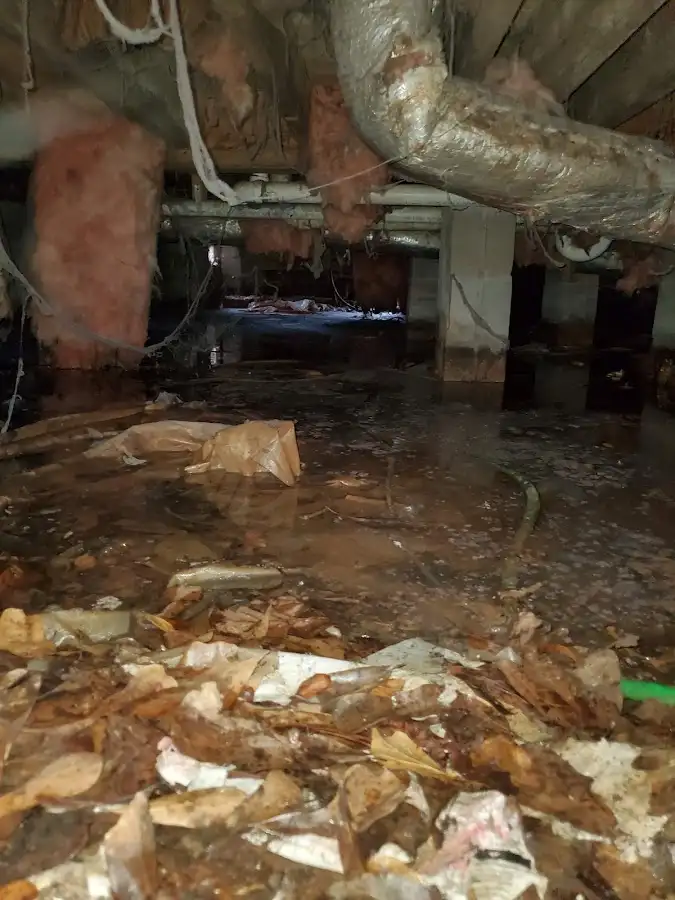 Crawl space flood assessment for Commercial Water Damage Restoration in Kaser